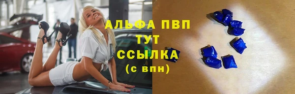 кокс Арсеньев