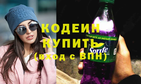 прущие грибы Рославль