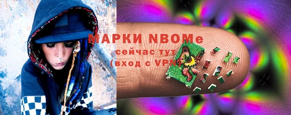 прущие грибы Рославль