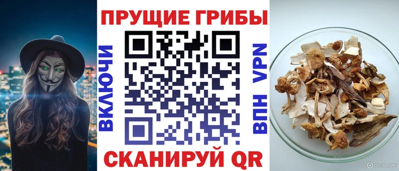 kraken рабочий сайт  Нязепетровск  Галлюциногенные грибы ЛСД  наркотики 